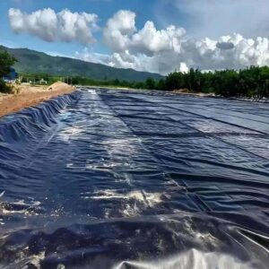 China Ldpe Geomembrane