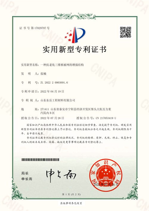 aging-resistant-3d-vegetation-net-patent-1